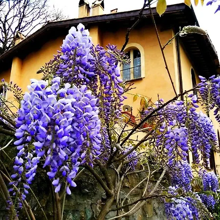 La Del Borgo